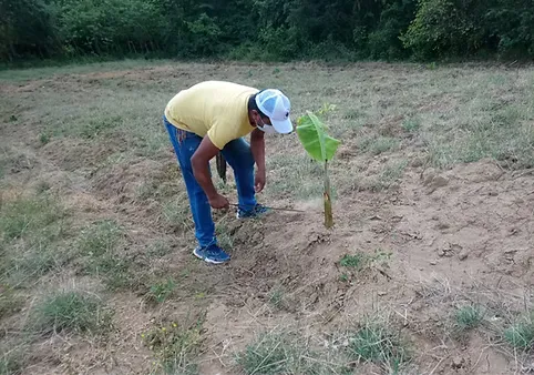 Construcción de Paz y Desarrollo Rural