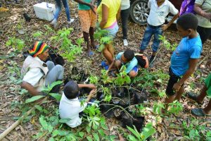 En San Cristóbal buscan recuperar lo que la violencia les arrebató